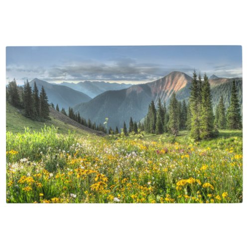 Flowers  Wildflowers Silverton Colorado Metal Print