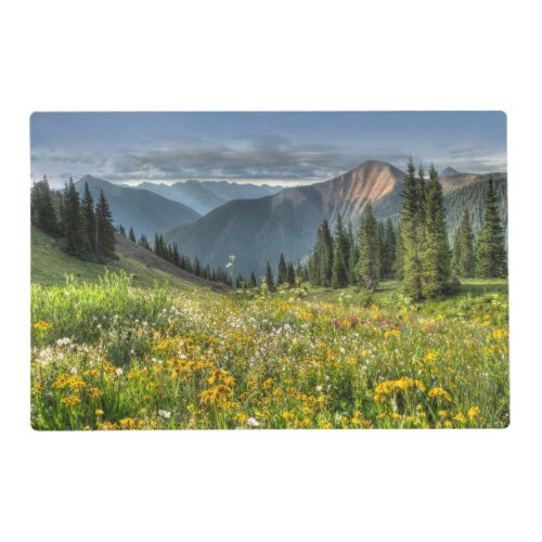 Flowers  Wildflowers Silverton Colorado Placemat