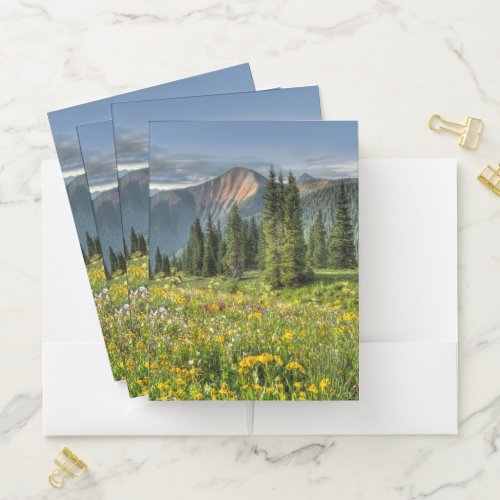 Flowers  Wildflowers Silverton Colorado Pocket Folder