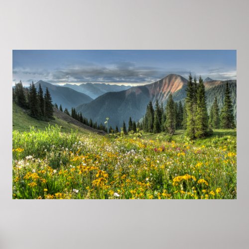 Flowers  Wildflowers Silverton Colorado Poster