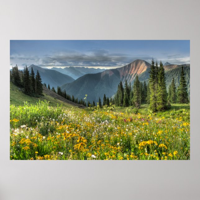 Flowers | Wildflowers Silverton Colorado Poster (Front)