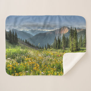 Flowers Wildflowers Silverton Colorado Sherpa Blanket