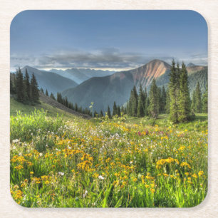 Flowers Wildflowers Silverton Colorado Square Paper Coaster