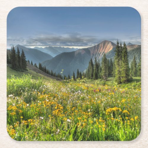 Flowers  Wildflowers Silverton Colorado Square Paper Coaster