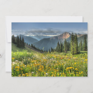Flowers Wildflowers Silverton Colorado Thank You Card