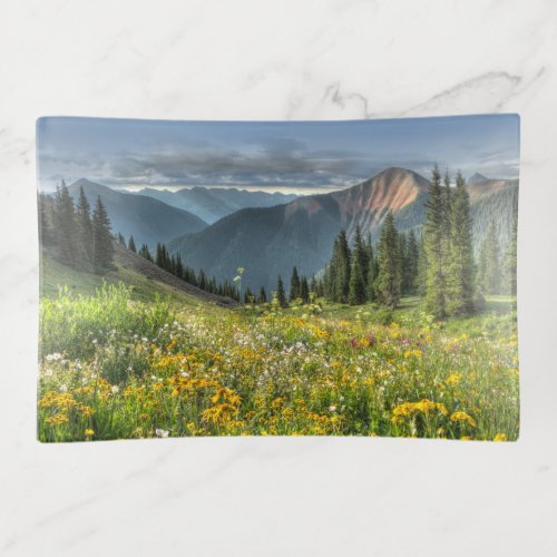 Flowers  Wildflowers Silverton Colorado Trinket Tray