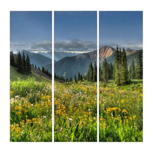 Flowers  Wildflowers Silverton Colorado Triptych