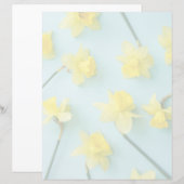 Flowers | Yellow Daffodils (Front/Back)