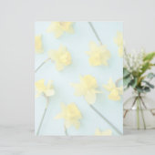 Flowers | Yellow Daffodils (Standing Front)