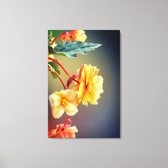 Flowers, Yellow flowers, Petals Canvas Print (Front)