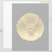 Flowers | Yellow Poppy (Front/Back)
