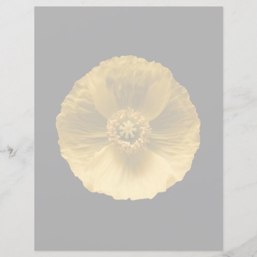 Flowers | Yellow Poppy (Front)