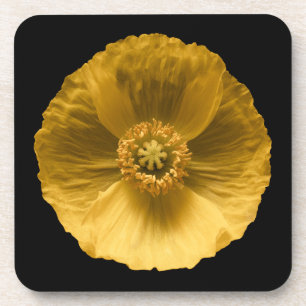 Flowers Yellow Poppy Beverage Coaster