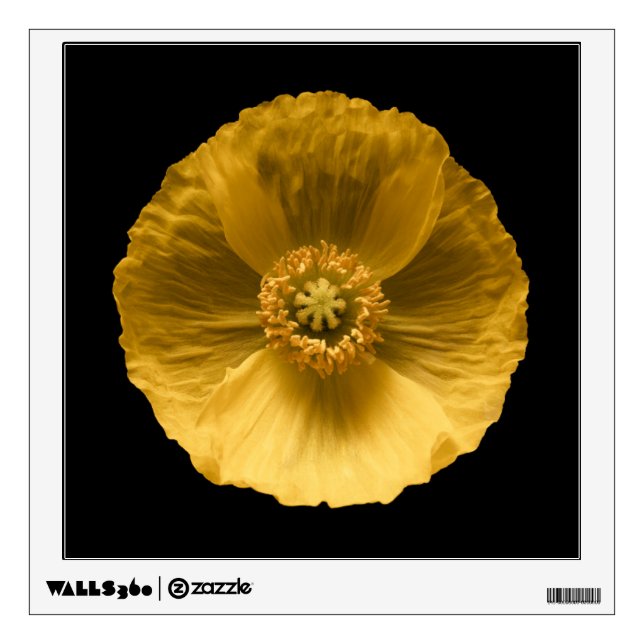Flowers | Yellow Poppy Wall Decal (Front)