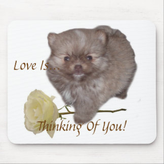 Flowers Zeus Pomeranian Love Is Thinking Of You! Mouse Pad