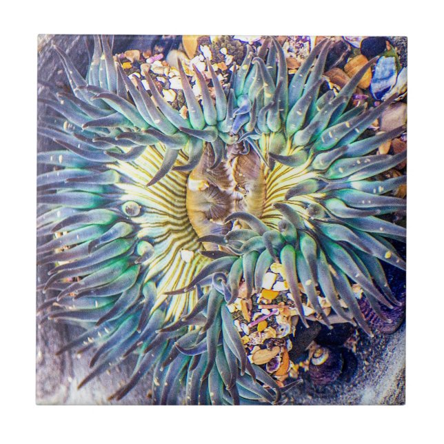 Flowery Aqua & Yellow Sea Anemone in the Water Ceramic Tile (Front)