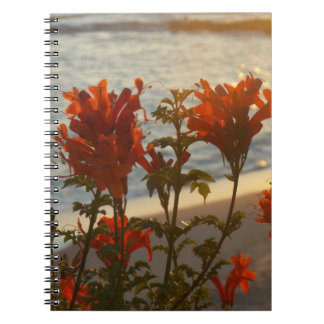 Flowery Beach Sunset Notebook