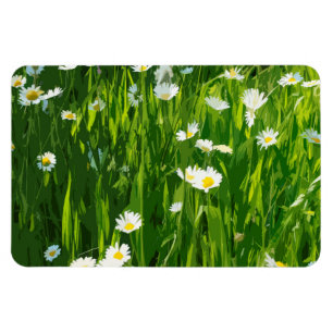 Flowery meadow magnet