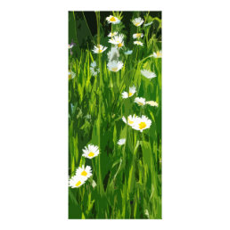 Flowery meadow rack card