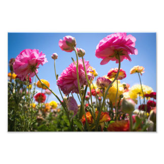 Flowery Skies Photo Print