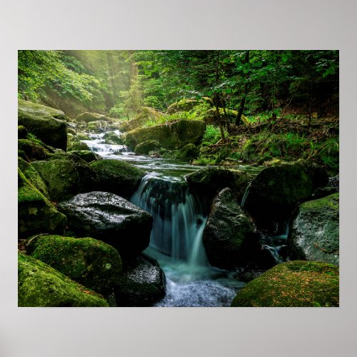 Flowing Creek Green Mossy Rocks Forest Nature Poster