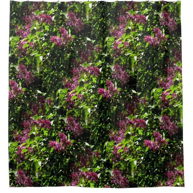 Flowing Lilacs..... Shower Curtain (Front)