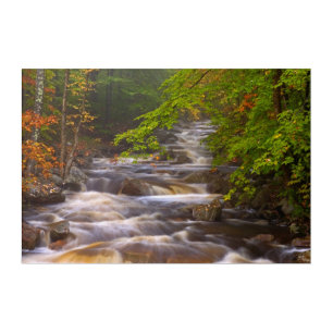 Flowing Streams Along the Appalachian Trail Acrylic Print