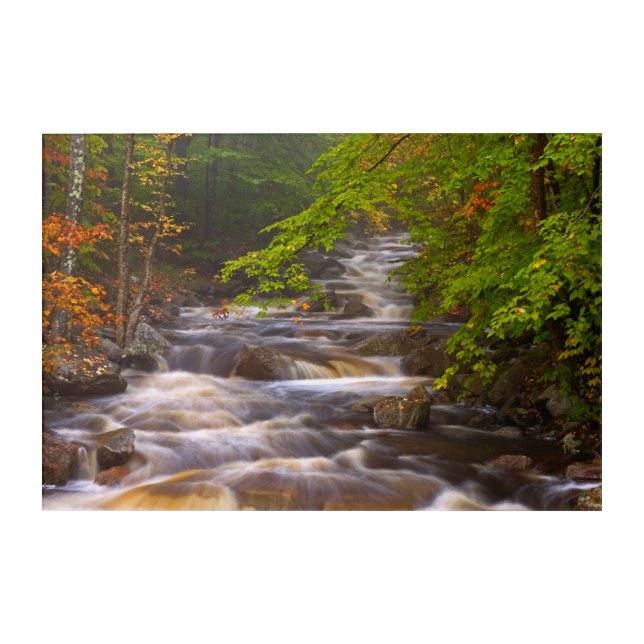 Flowing Streams Along the Appalachian Trail Acrylic Print (Front)