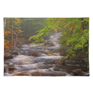 Flowing Streams Along the Appalachian Trail Cloth Placemat