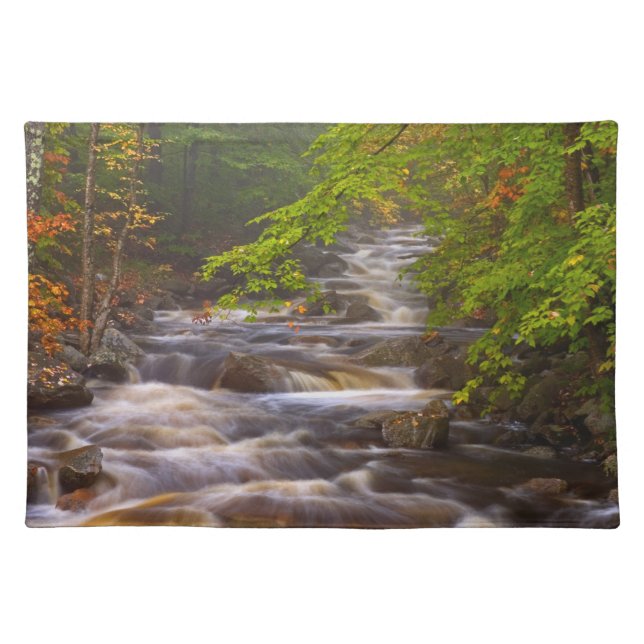 Flowing Streams Along the Appalachian Trail Cloth Placemat (Front)