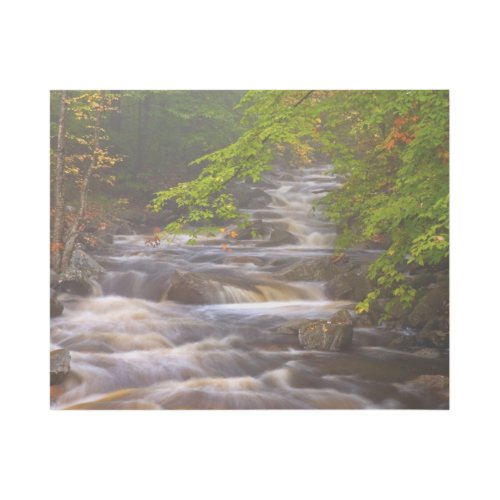 Flowing Streams Along the Appalachian Trail Gallery Wrap
