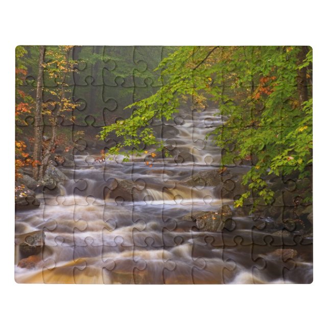 Flowing Streams Along the Appalachian Trail Jigsaw Puzzle (Puzzle Horizontal)