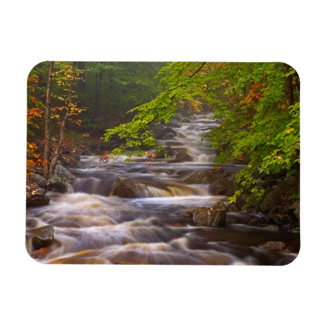 Flowing Streams Along the Appalachian Trail Magnet (Horizontal)