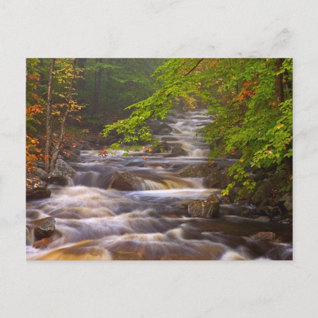 Flowing Streams Along the Appalachian Trail Postcard (Front)