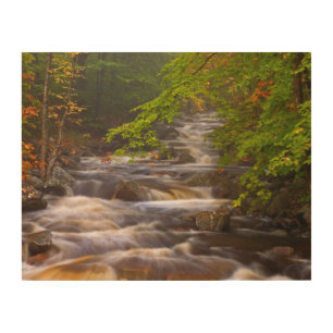 Flowing Streams Along the Appalachian Trail Wood Wall Art