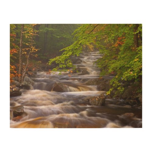 Flowing Streams Along the Appalachian Trail Wood Wall Art