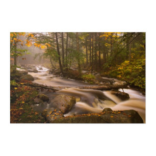 Flowing Streams Appalachian Trail Vermont Acrylic Print