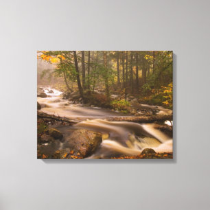Flowing Streams Appalachian Trail Vermont Canvas Print