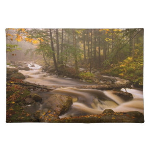 Flowing Streams Appalachian Trail Vermont Cloth Placemat