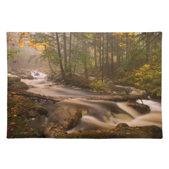 Flowing Streams Appalachian Trail | Vermont Cloth Placemat (Front)