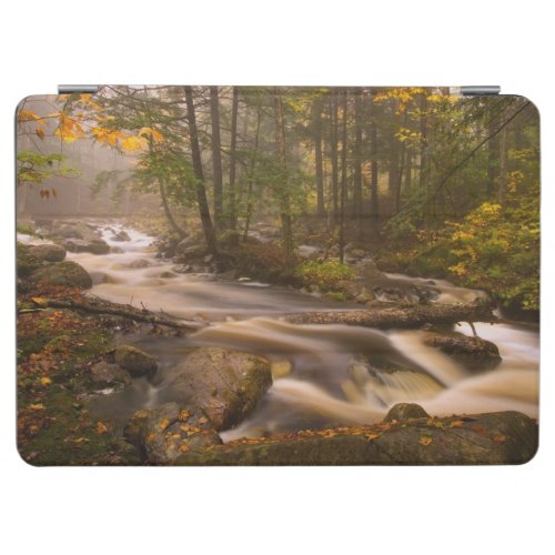 Flowing Streams Appalachian Trail  Vermont iPad Air Cover