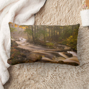 Flowing Streams Appalachian Trail Vermont Lumbar Pillow