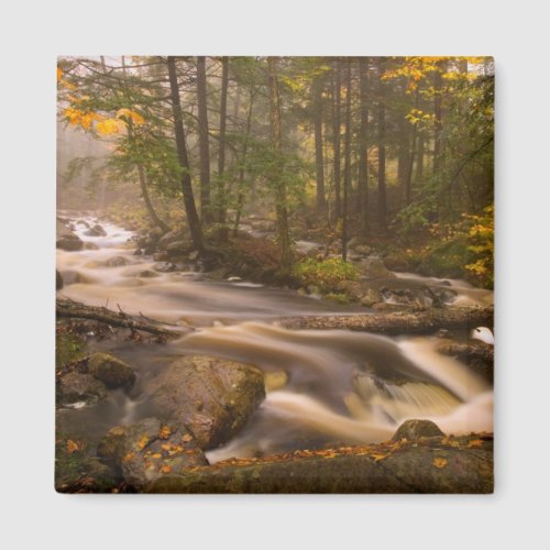 Flowing Streams Appalachian Trail  Vermont Magnet