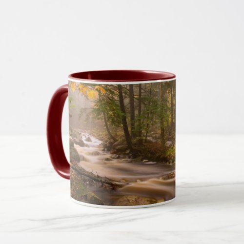 Flowing Streams Appalachian Trail  Vermont Mug