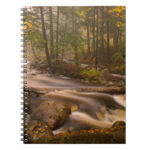 Flowing Streams Appalachian Trail   Vermont Notebook