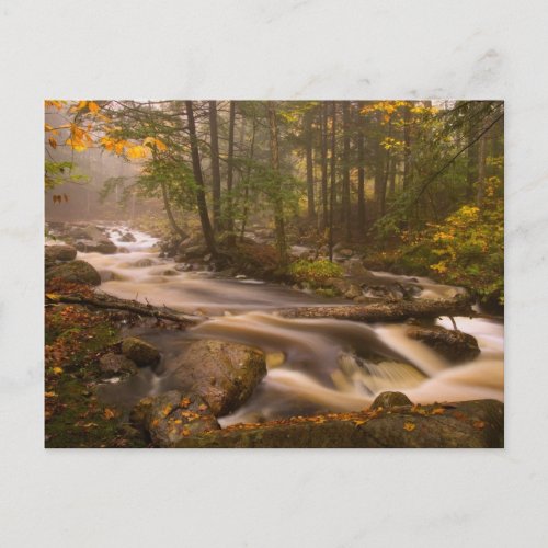 Flowing Streams Appalachian Trail  Vermont Postcard