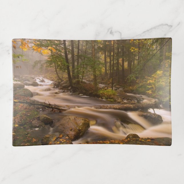 Flowing Streams Appalachian Trail | Vermont Trinket Tray (Front)