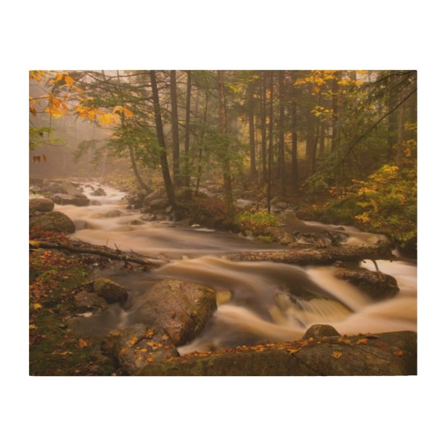 Flowing Streams Appalachian Trail | Vermont Wood Wall Art (Front)