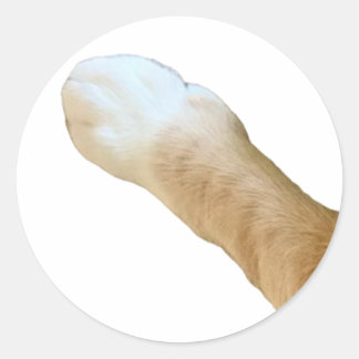 Floyd Sticker - Paw!