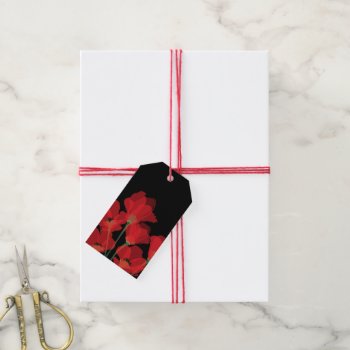 Fluers De Pavot Rouge Sur Noir Gift Tags by ArtDivination at Zazzle
